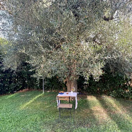 La Del Tevere * Fiano Romano