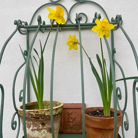 Country house La Del Tevere