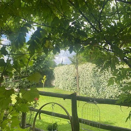 Country house La Del Tevere *