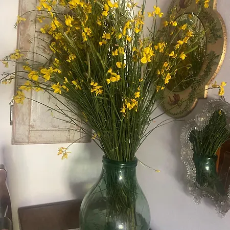 La Del Tevere Country house Fiano Romano